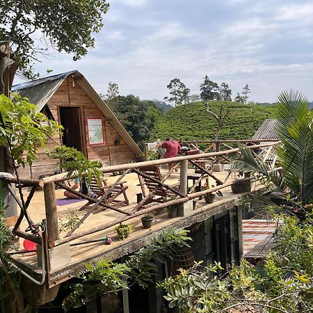 Backpackers Hostel 埃拉 外观 照片