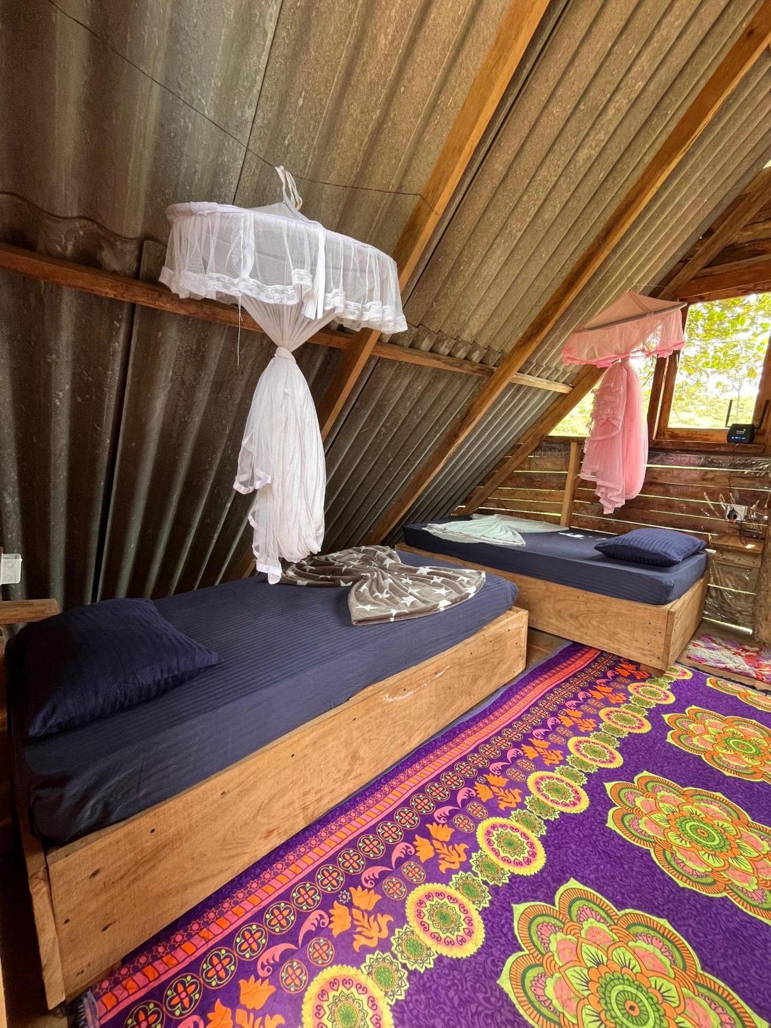 Backpackers Hostel 埃拉 外观 照片